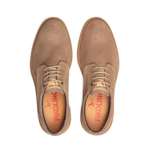 Load image into Gallery viewer, CARLET
